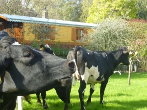 Schooteind Hoeve in Brabant foto 9